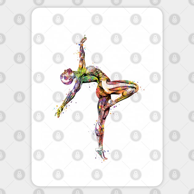 Gymnast Muscle Anatomy Watercolor Sticker by LotusGifts